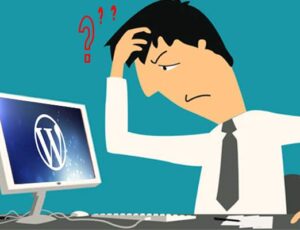 wordpress error
