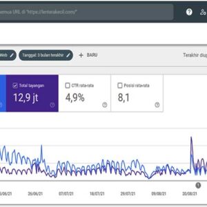 Kinerja Blog di Google Search Console