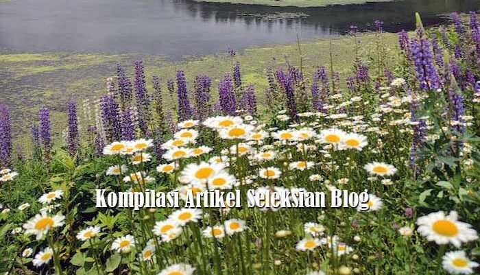 Kompilasi Artikel Seleksian Blog