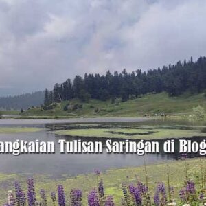 Rangkaian Tulisan Saringan di Blog