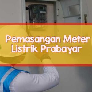 pln
