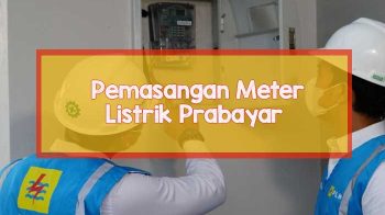 pln