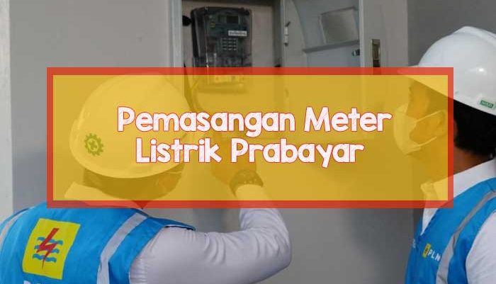 pln