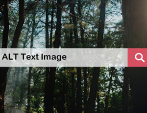 alt text image