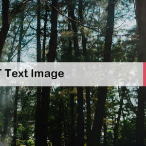 alt text image
