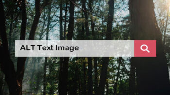 alt text image