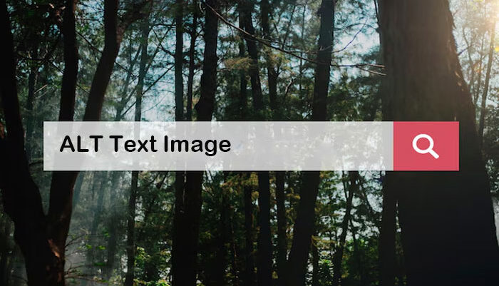 alt text image