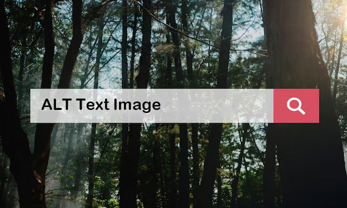 alt text image
