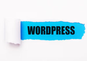 Wordpress Cms