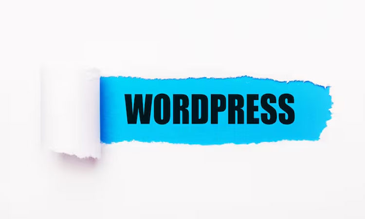 Wordpress Cms